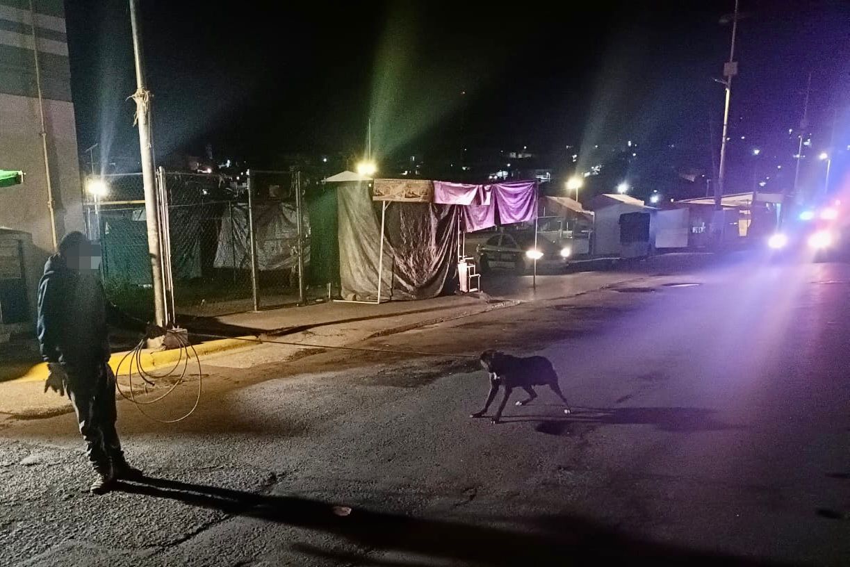 Para proteger la seguridad y salud de la población el Ayuntamiento de la capital retira canes del primer cuadro de la ciudad